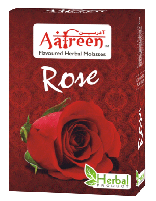 Kannauj Damask Rose