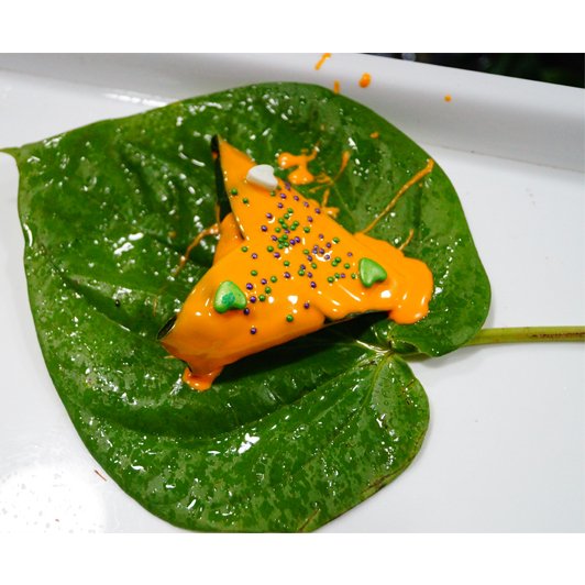 Valencia Orange Dessert Paan